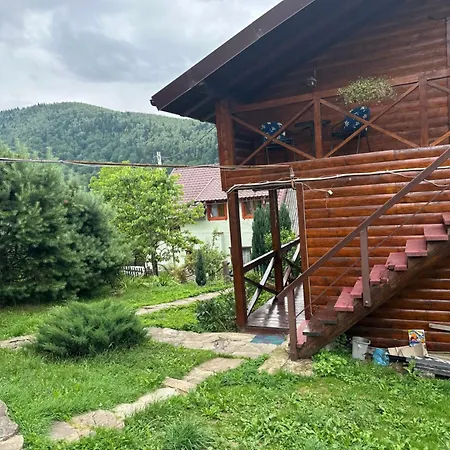 три берези 3*